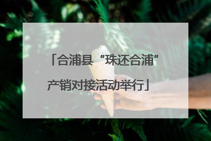 合浦县“珠还合浦”产销对接活动举行